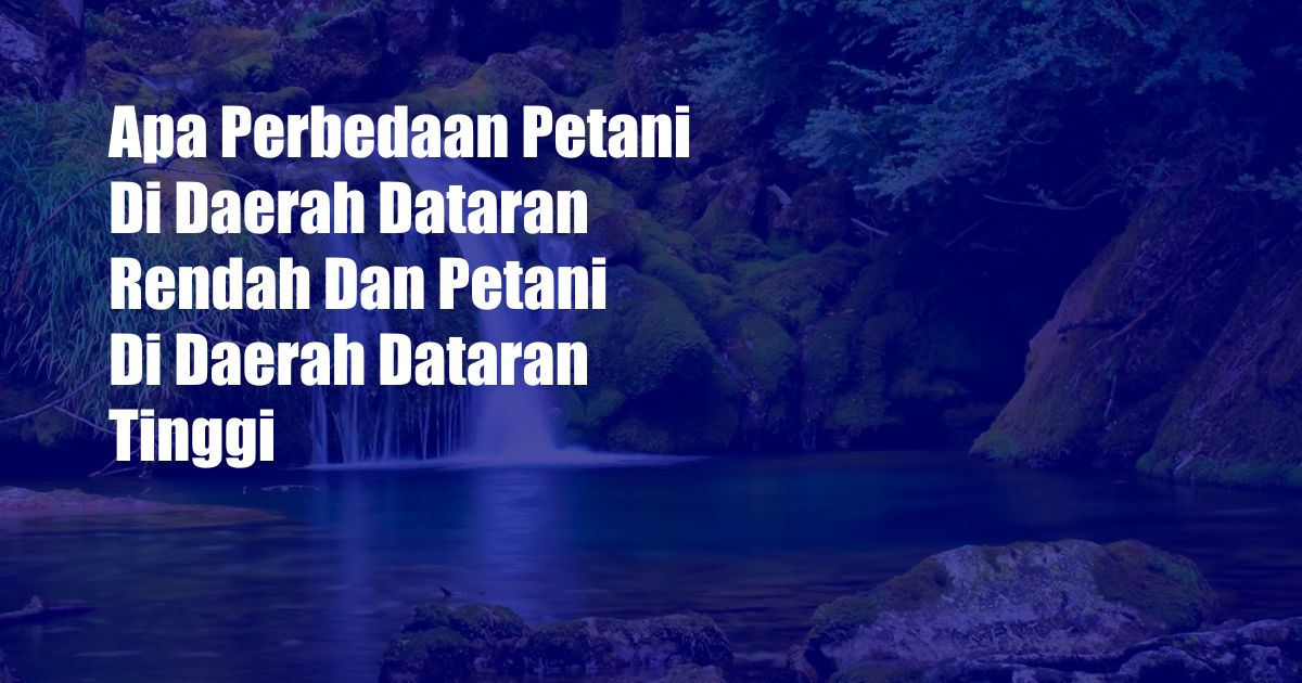 Apa Perbedaan Petani Di Daerah Dataran Rendah Dan Petani Di Daerah Dataran Tinggi