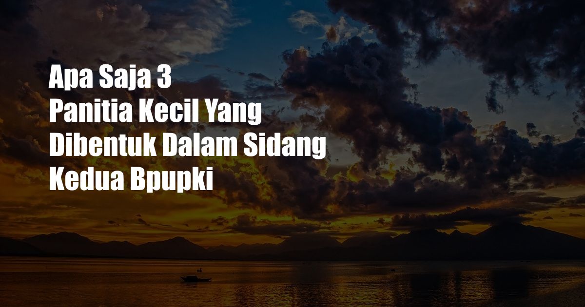 Apa Saja 3 Panitia Kecil Yang Dibentuk Dalam Sidang Kedua Bpupki