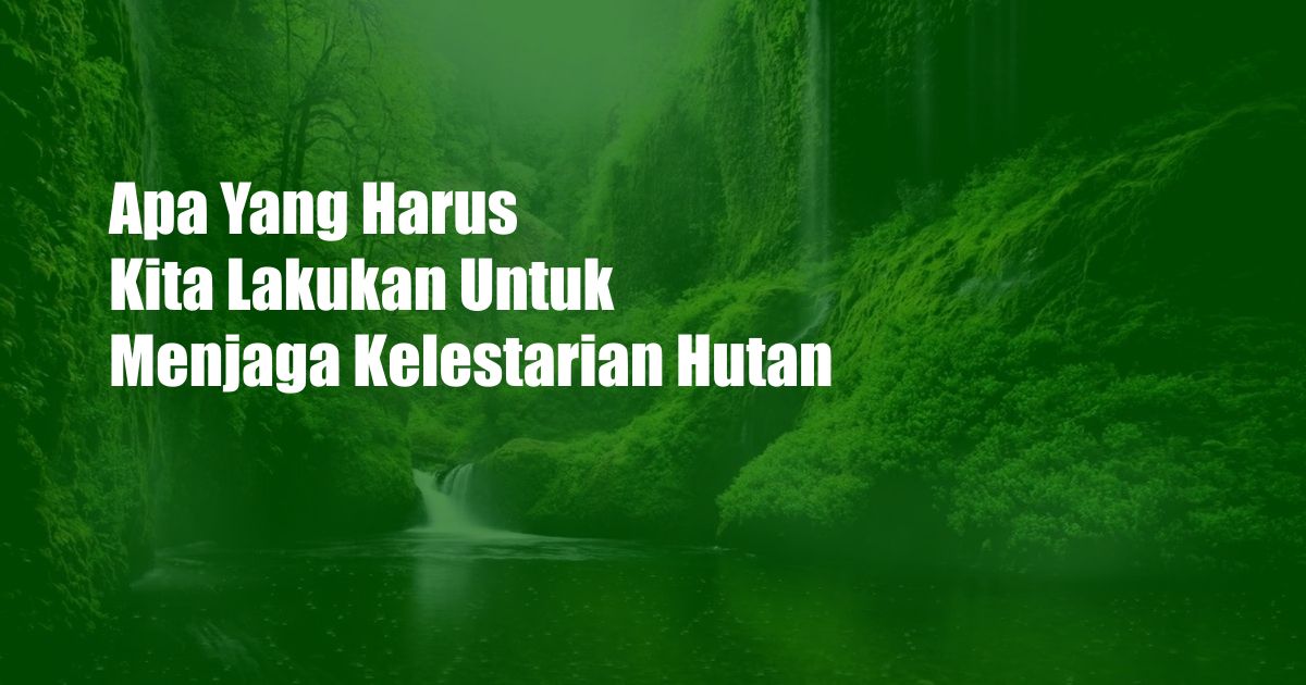 Apa Yang Harus Kita Lakukan Untuk Menjaga Kelestarian Hutan