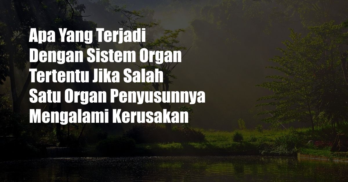 Apa Yang Terjadi Dengan Sistem Organ Tertentu Jika Salah Satu Organ Penyusunnya Mengalami Kerusakan