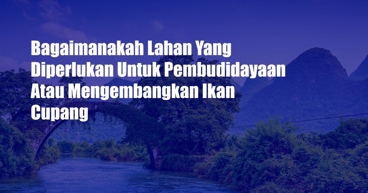 Bagaimanakah Lahan Yang Diperlukan Untuk Pembudidayaan Atau Mengembangkan Ikan Cupang