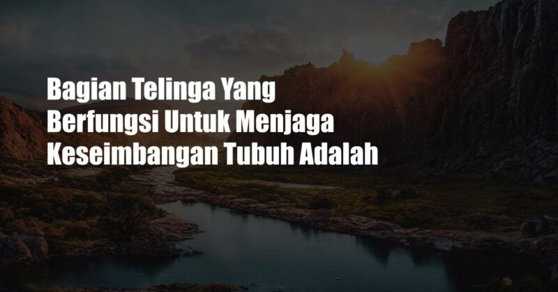 Bagian Telinga Yang Berfungsi Untuk Menjaga Keseimbangan Tubuh Adalah