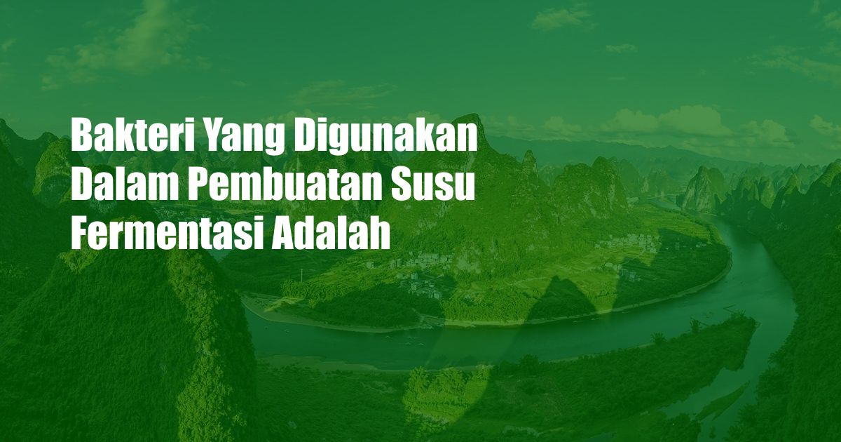 Bakteri Yang Digunakan Dalam Pembuatan Susu Fermentasi Adalah