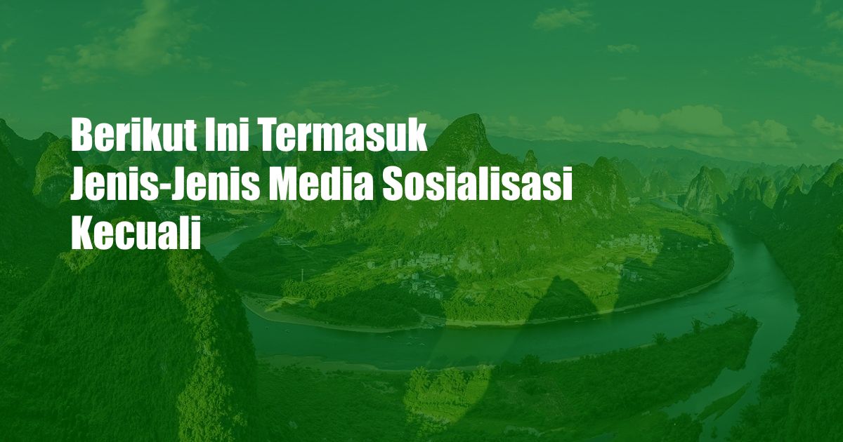 Berikut Ini Termasuk Jenis-Jenis Media Sosialisasi Kecuali