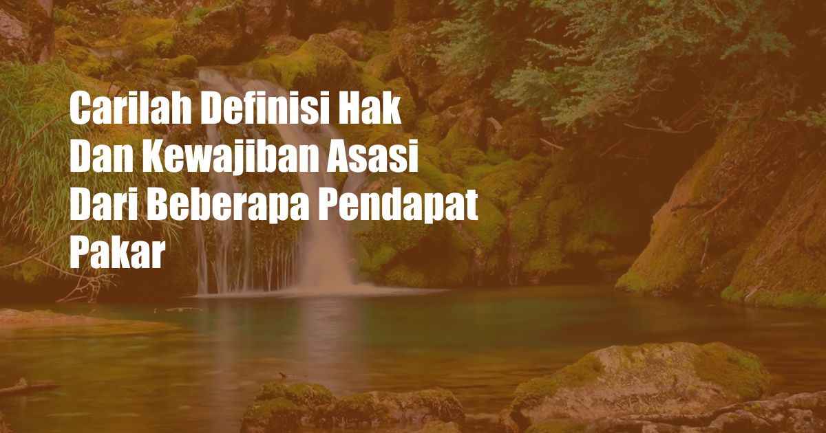 Carilah Definisi Hak Dan Kewajiban Asasi Dari Beberapa Pendapat Pakar