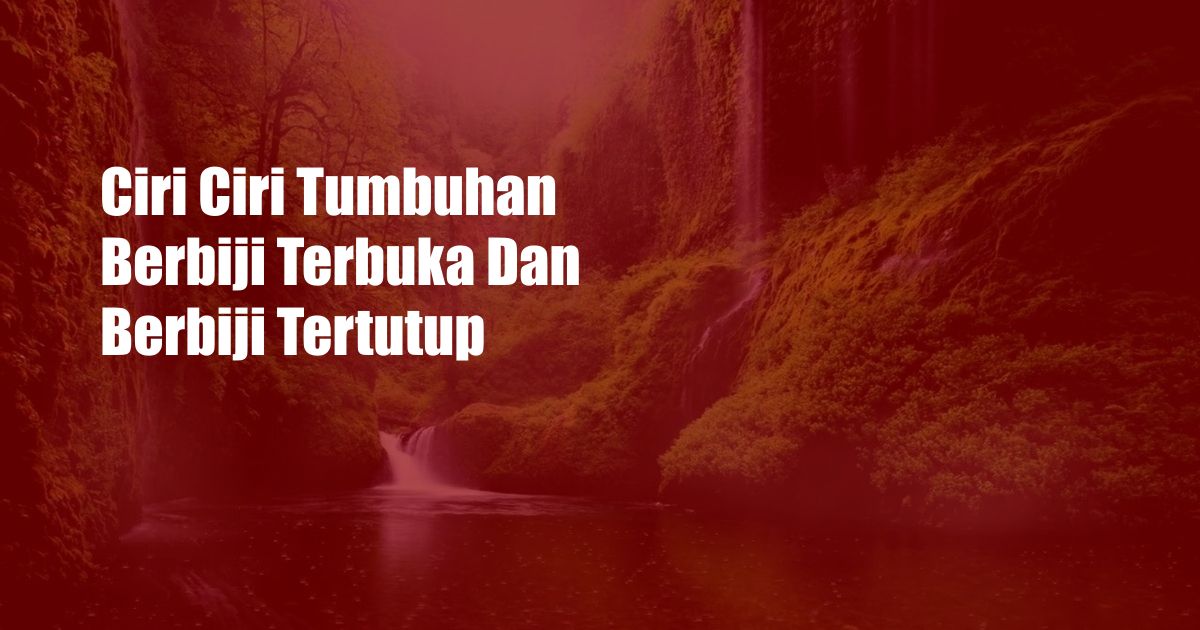 Ciri Ciri Tumbuhan Berbiji Terbuka Dan Berbiji Tertutup