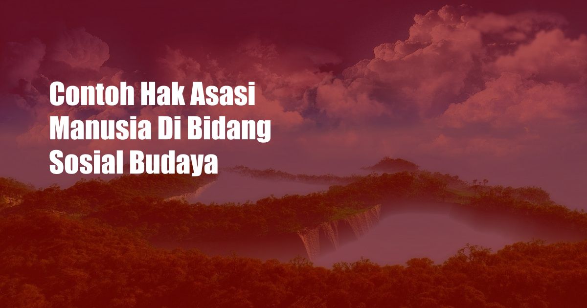 Contoh Hak Asasi Manusia Di Bidang Sosial Budaya