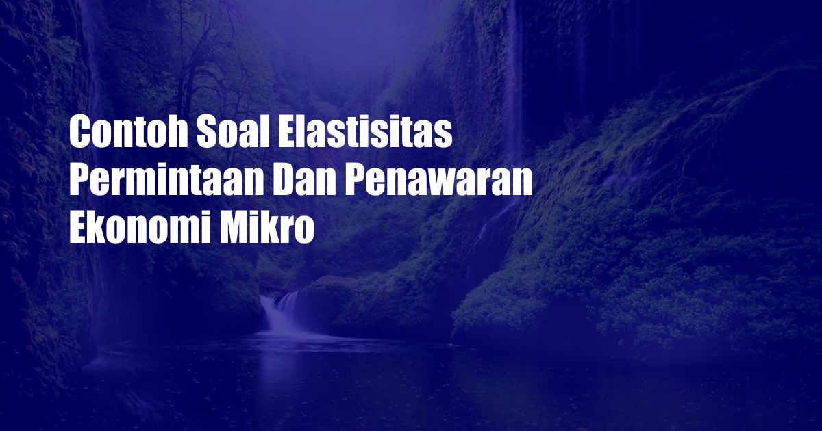 Contoh Soal Elastisitas Permintaan Dan Penawaran Ekonomi Mikro