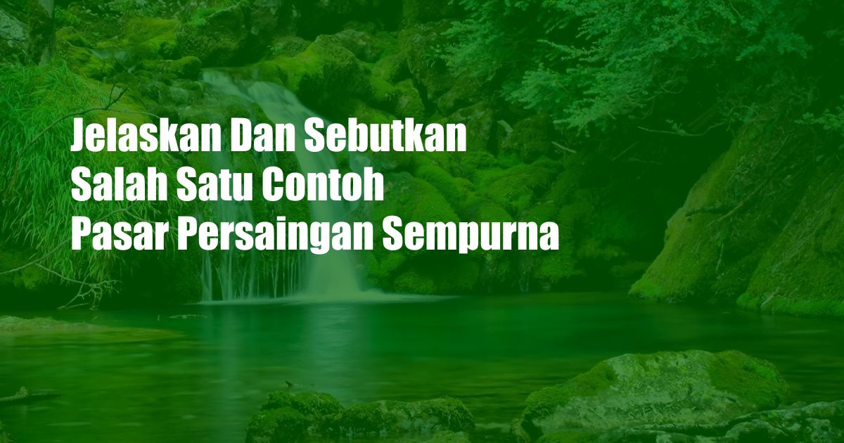 Jelaskan Dan Sebutkan Salah Satu Contoh Pasar Persaingan Sempurna