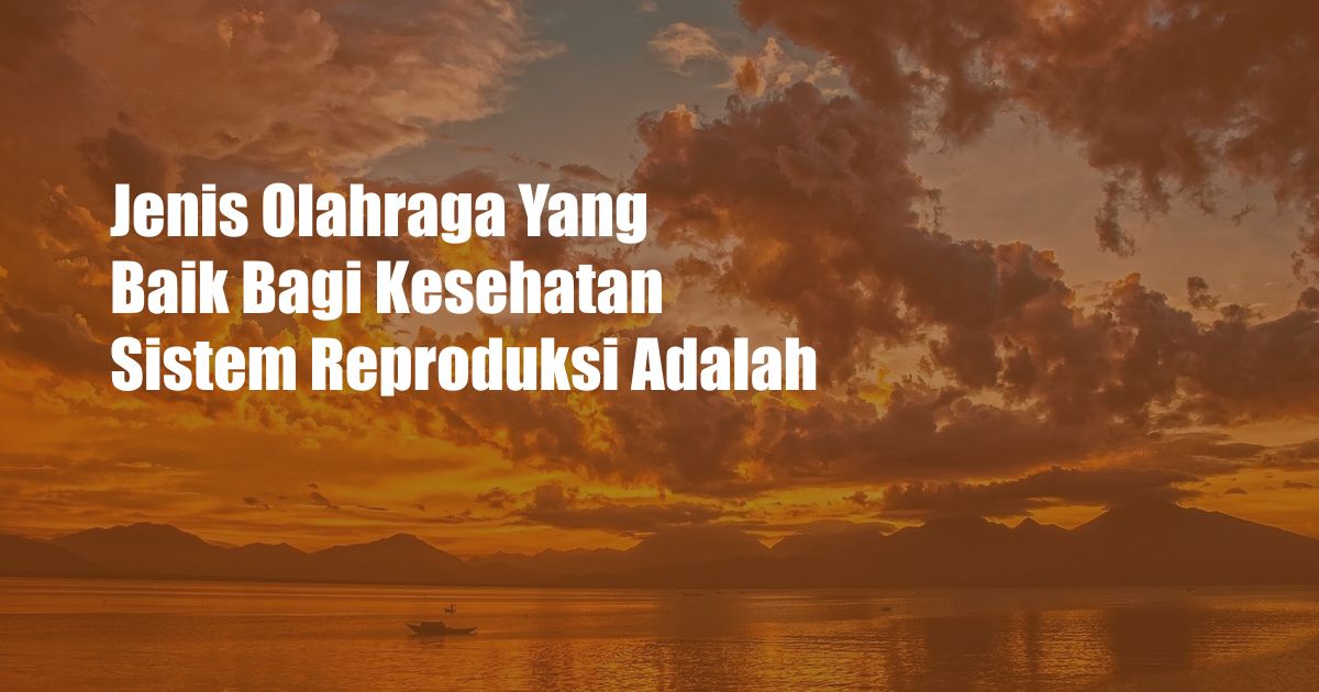 Jenis Olahraga Yang Baik Bagi Kesehatan Sistem Reproduksi Adalah