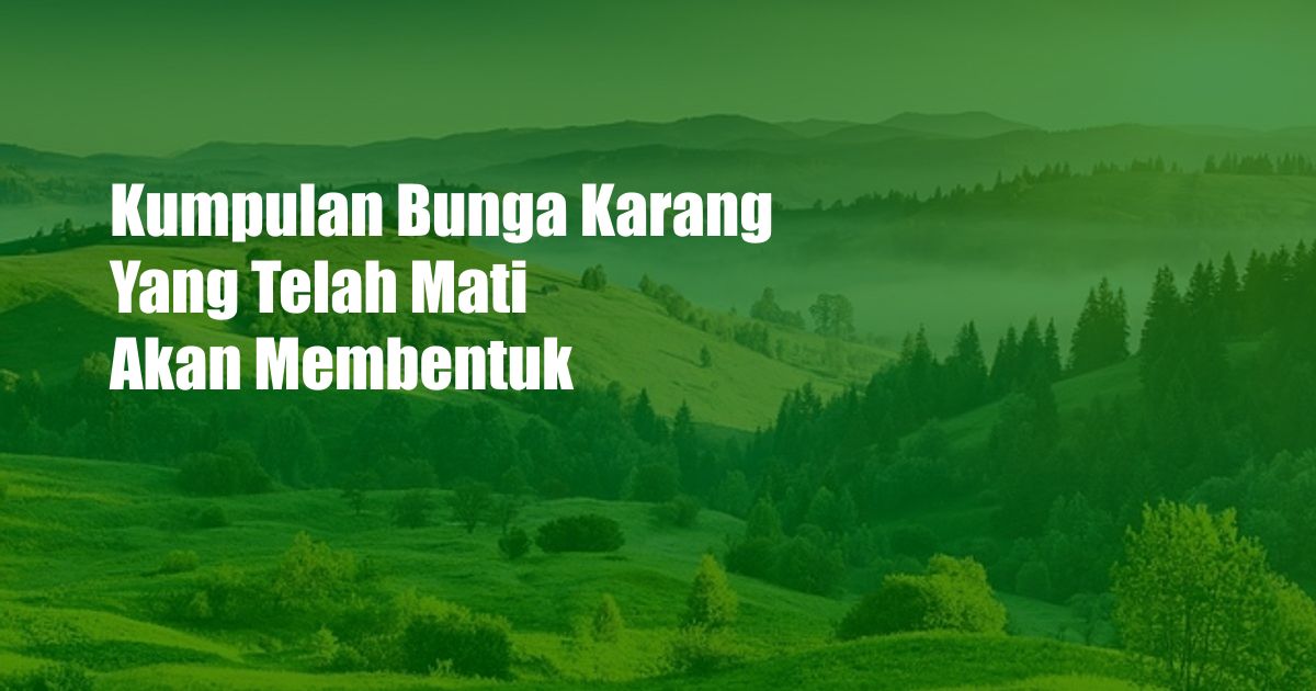 Kumpulan Bunga Karang Yang Telah Mati Akan Membentuk