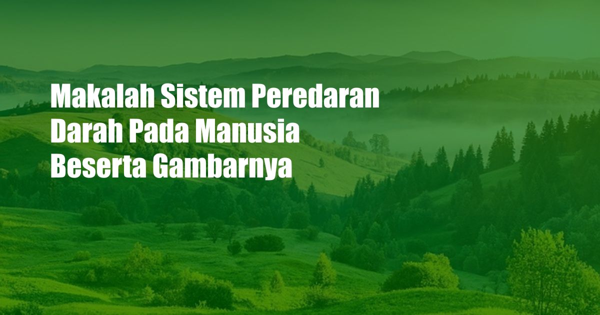 Makalah Sistem Peredaran Darah Pada Manusia Beserta Gambarnya