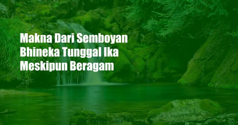 Makna Dari Semboyan Bhineka Tunggal Ika Meskipun Beragam