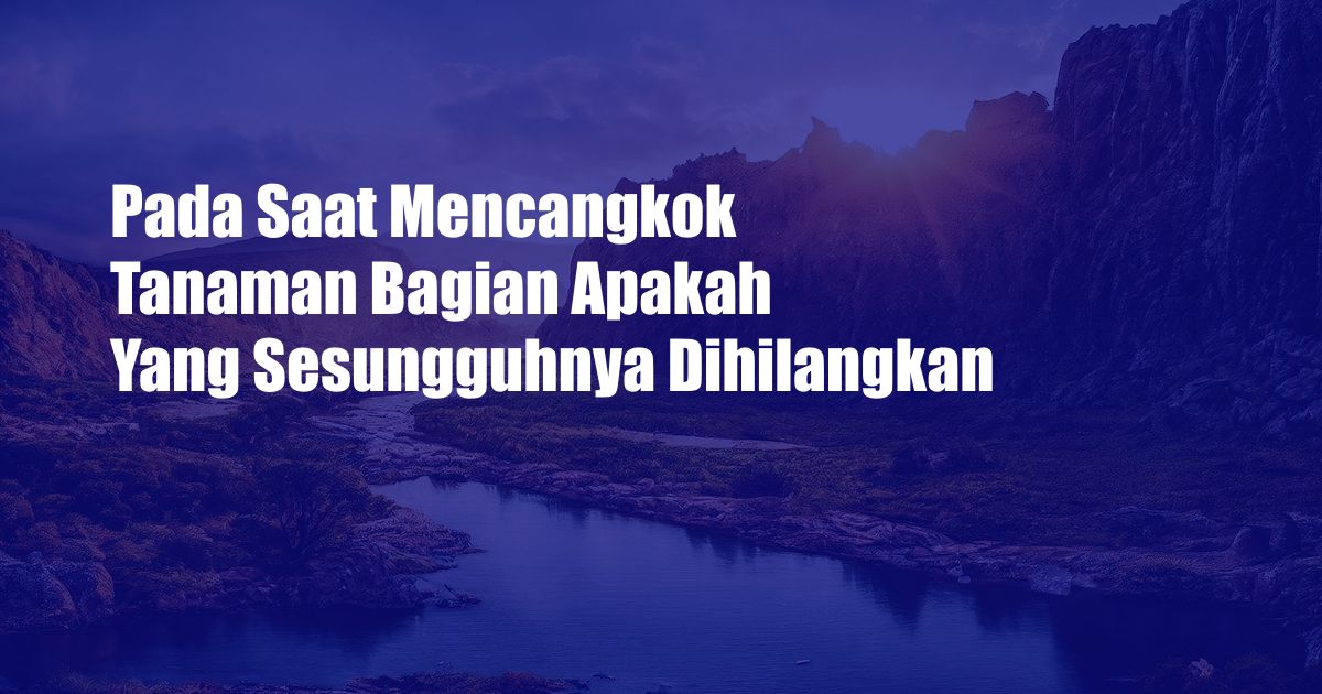 Pada Saat Mencangkok Tanaman Bagian Apakah Yang Sesungguhnya Dihilangkan