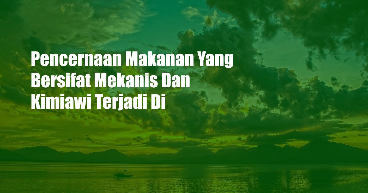 Pencernaan Makanan Yang Bersifat Mekanis Dan Kimiawi Terjadi Di