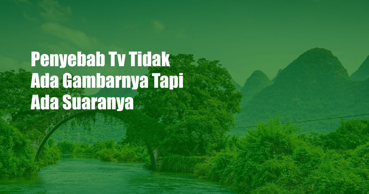 Penyebab Tv Tidak Ada Gambarnya Tapi Ada Suaranya