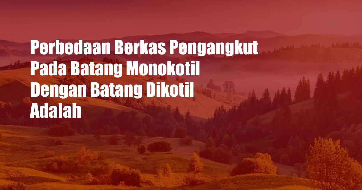 Perbedaan Berkas Pengangkut Pada Batang Monokotil Dengan Batang Dikotil Adalah