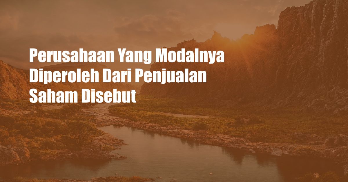 Perusahaan Yang Modalnya Diperoleh Dari Penjualan Saham Disebut