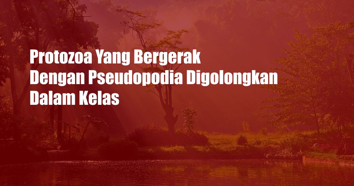 Protozoa Yang Bergerak Dengan Pseudopodia Digolongkan Dalam Kelas