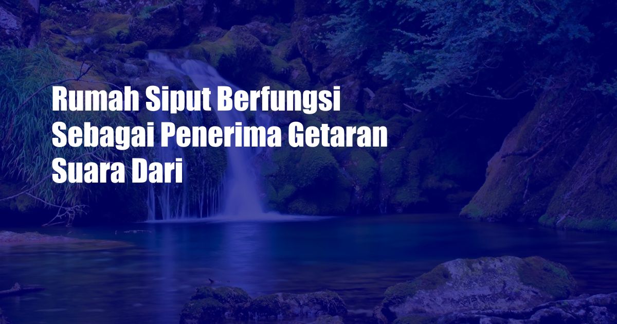 Rumah Siput Berfungsi Sebagai Penerima Getaran Suara Dari