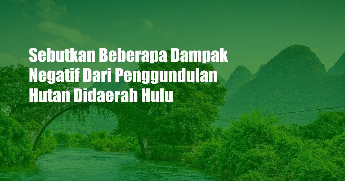 Sebutkan Beberapa Dampak Negatif Dari Penggundulan Hutan Didaerah Hulu