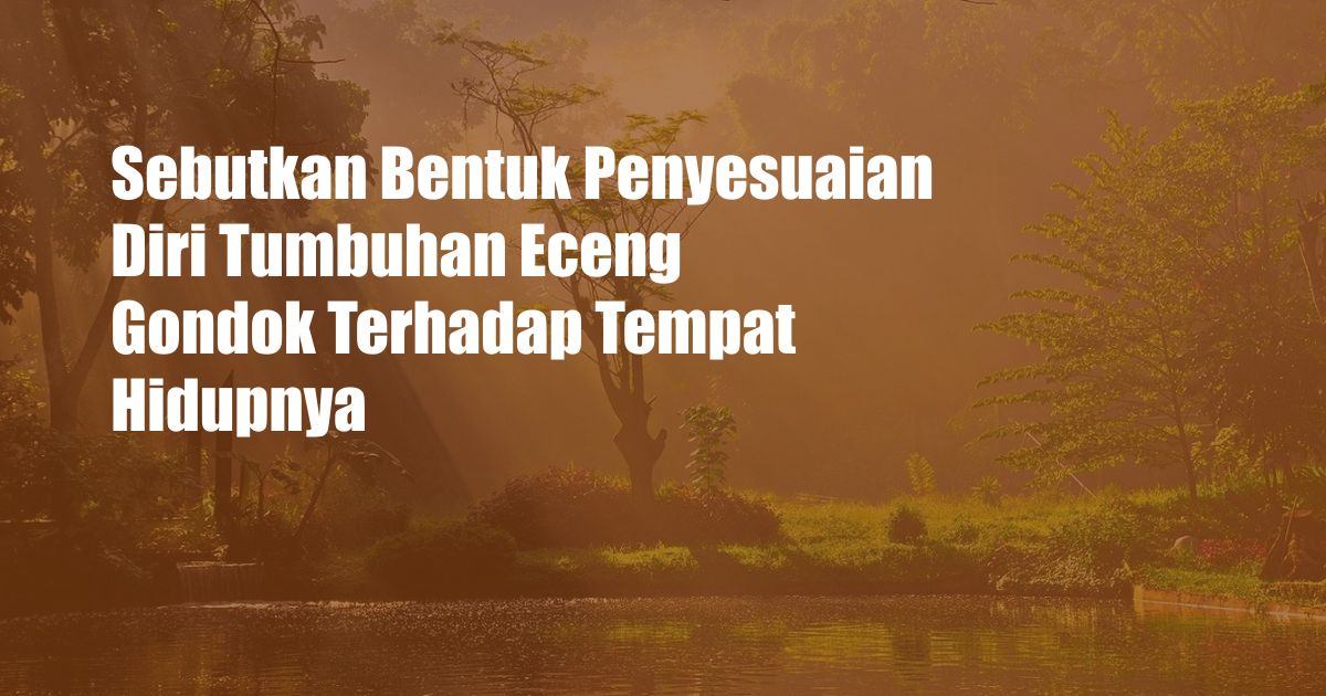 Sebutkan Bentuk Penyesuaian Diri Tumbuhan Eceng Gondok Terhadap Tempat Hidupnya