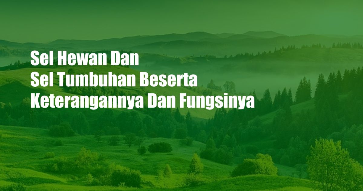 Sel Hewan Dan Sel Tumbuhan Beserta Keterangannya Dan Fungsinya