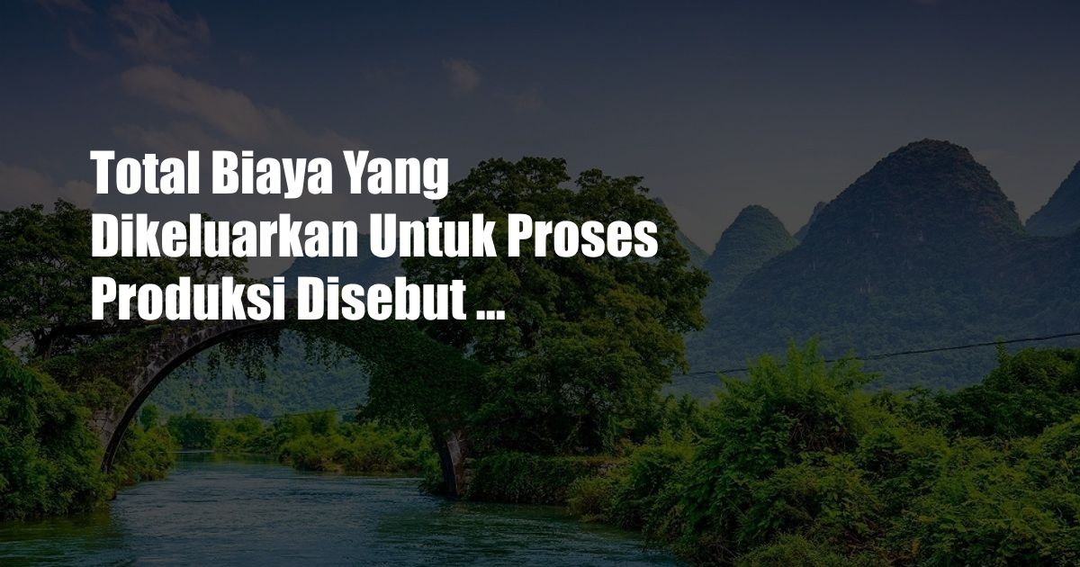 Total Biaya Yang Dikeluarkan Untuk Proses Produksi Disebut …