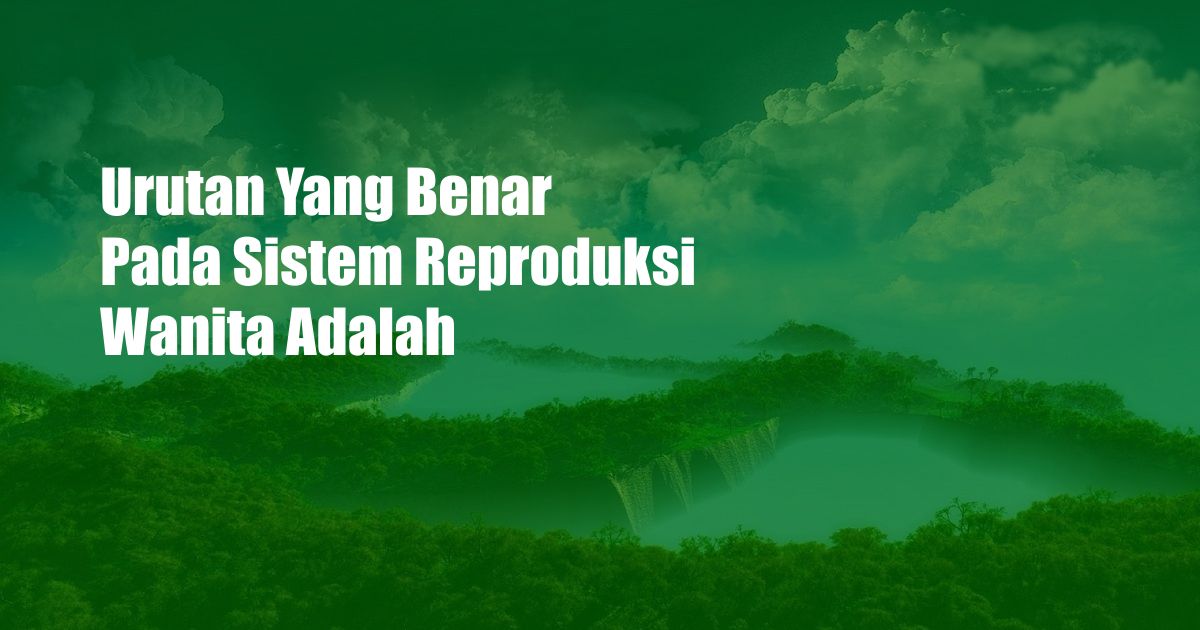 Urutan Yang Benar Pada Sistem Reproduksi Wanita Adalah