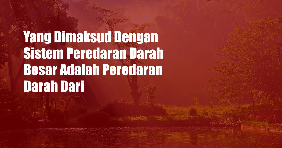 Yang Dimaksud Dengan Sistem Peredaran Darah Besar Adalah Peredaran Darah Dari