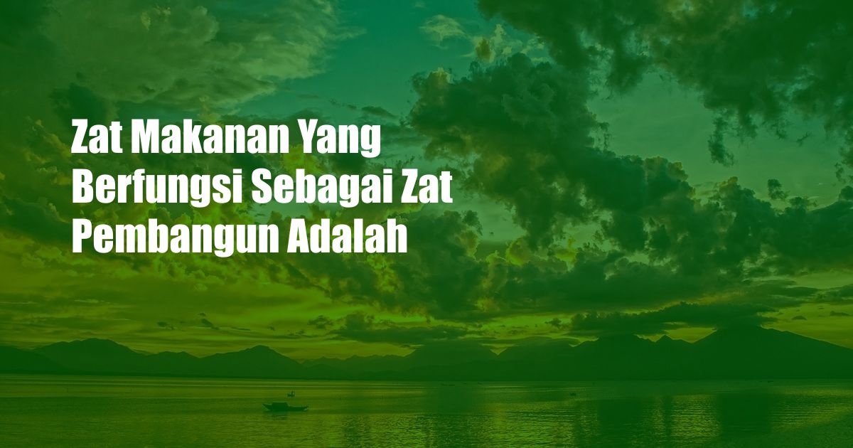 Zat Makanan Yang Berfungsi Sebagai Zat Pembangun Adalah